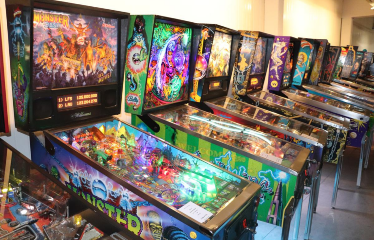 FLIPPER (10)